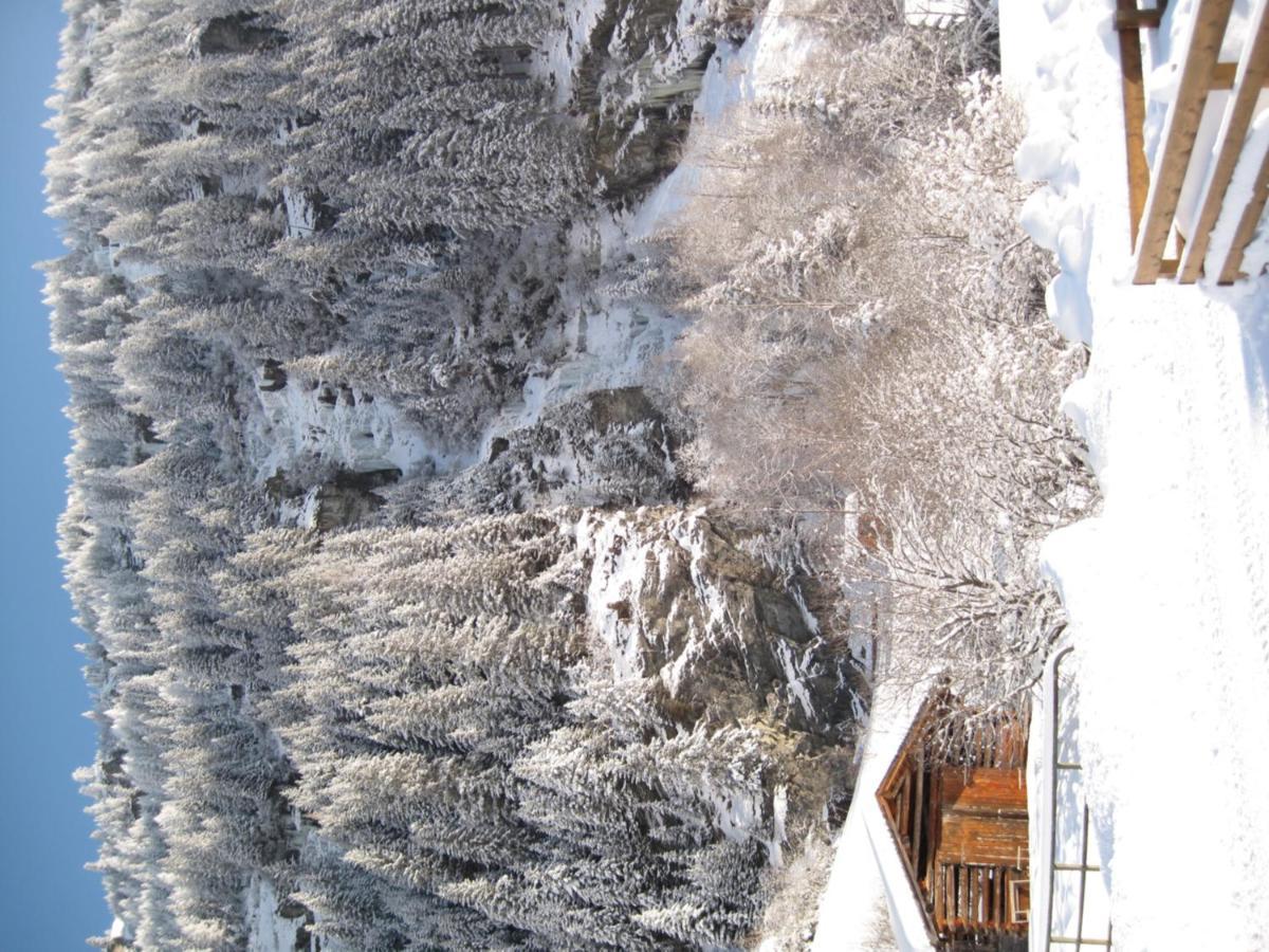 Alpina Appartement Sankt Leonhard im Pitztal Exteriör bild