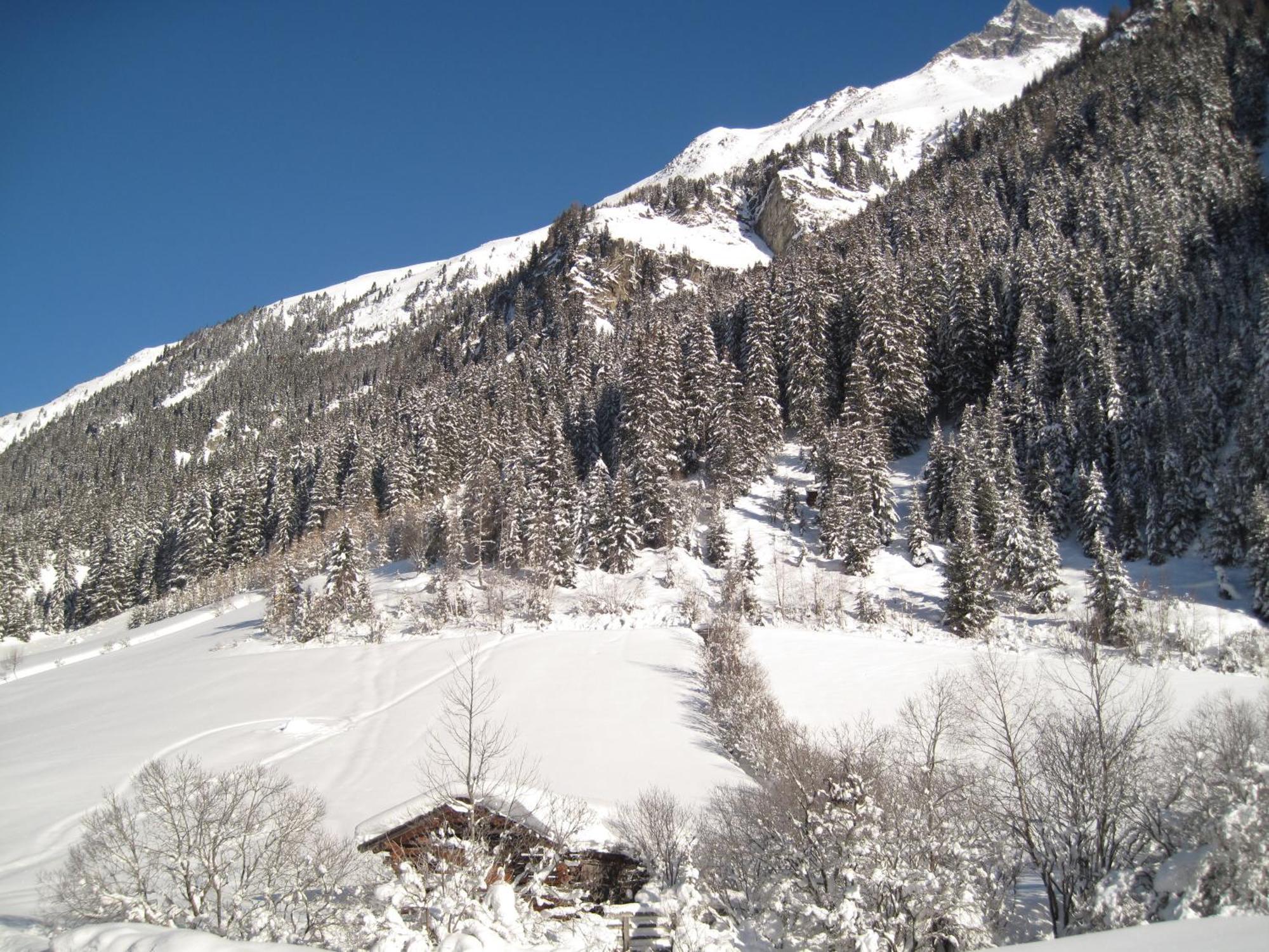 Alpina Appartement Sankt Leonhard im Pitztal Exteriör bild