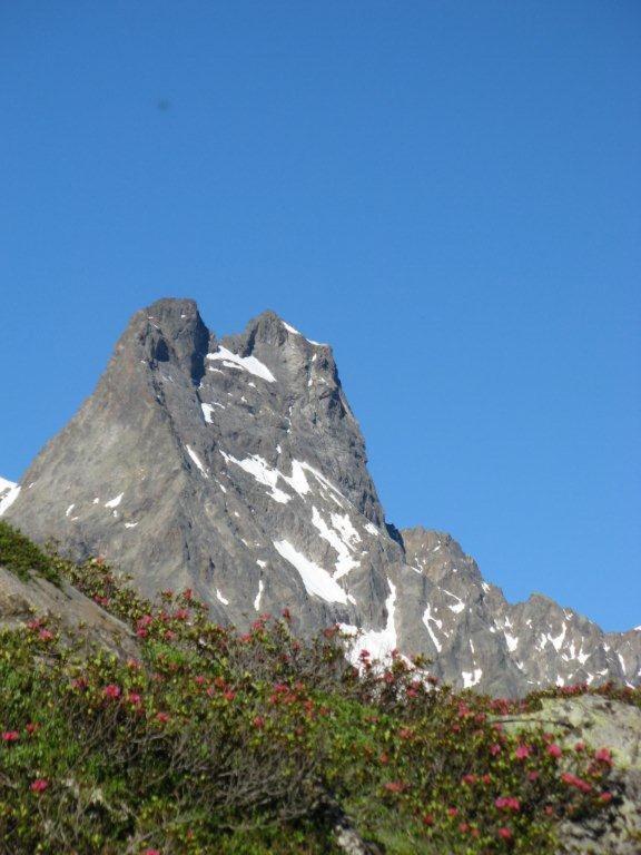 Alpina Appartement Sankt Leonhard im Pitztal Exteriör bild